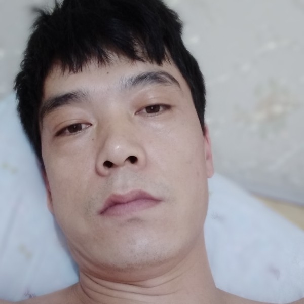 幸福的猪。的照片