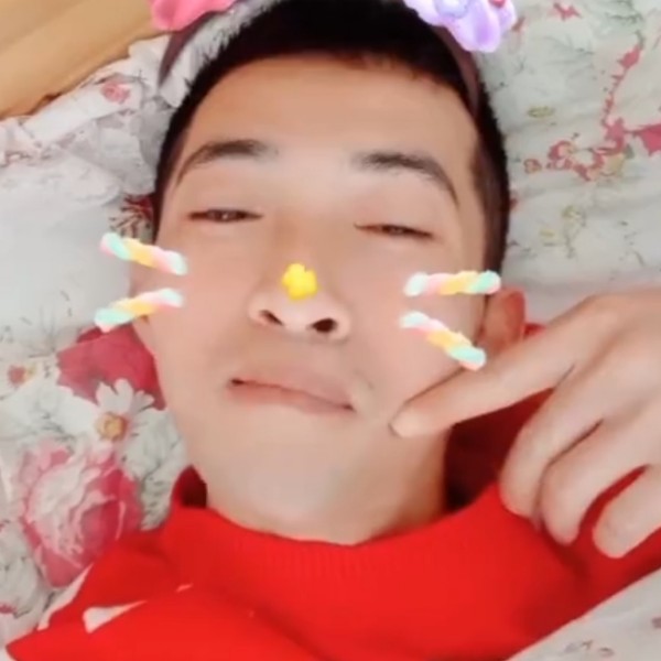 ~飞蛾扑火的照片