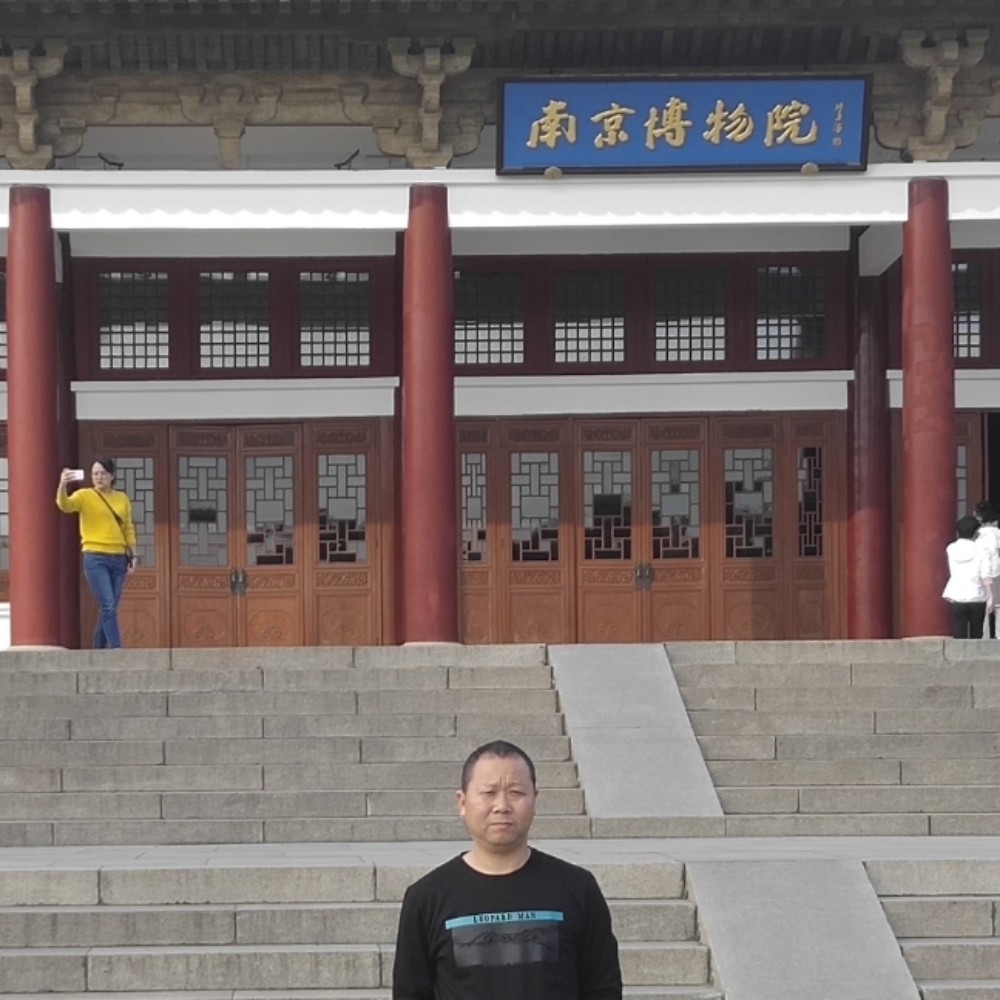 尊敬漫步大雁的照片