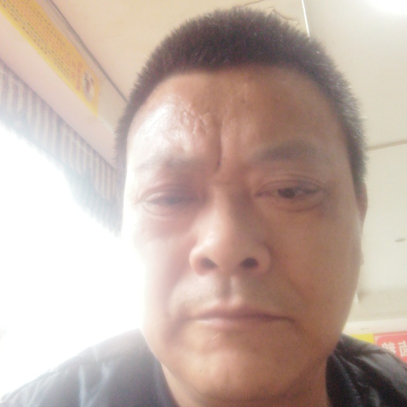 心灵美演变小天鹅的照片
