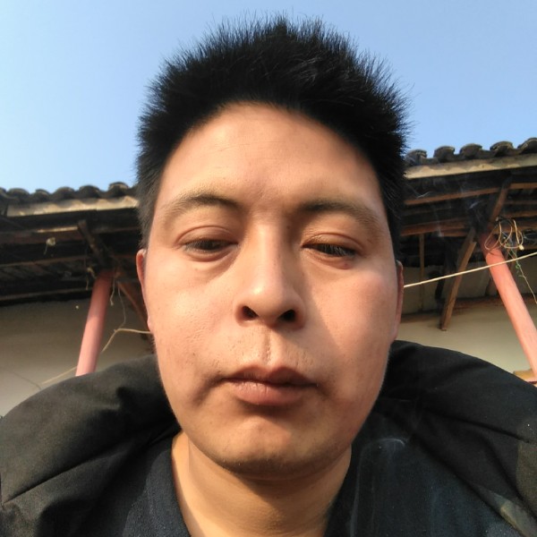 孝顺回首树叶的照片