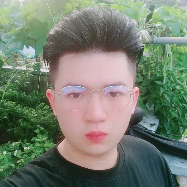 不听话的小猫的照片