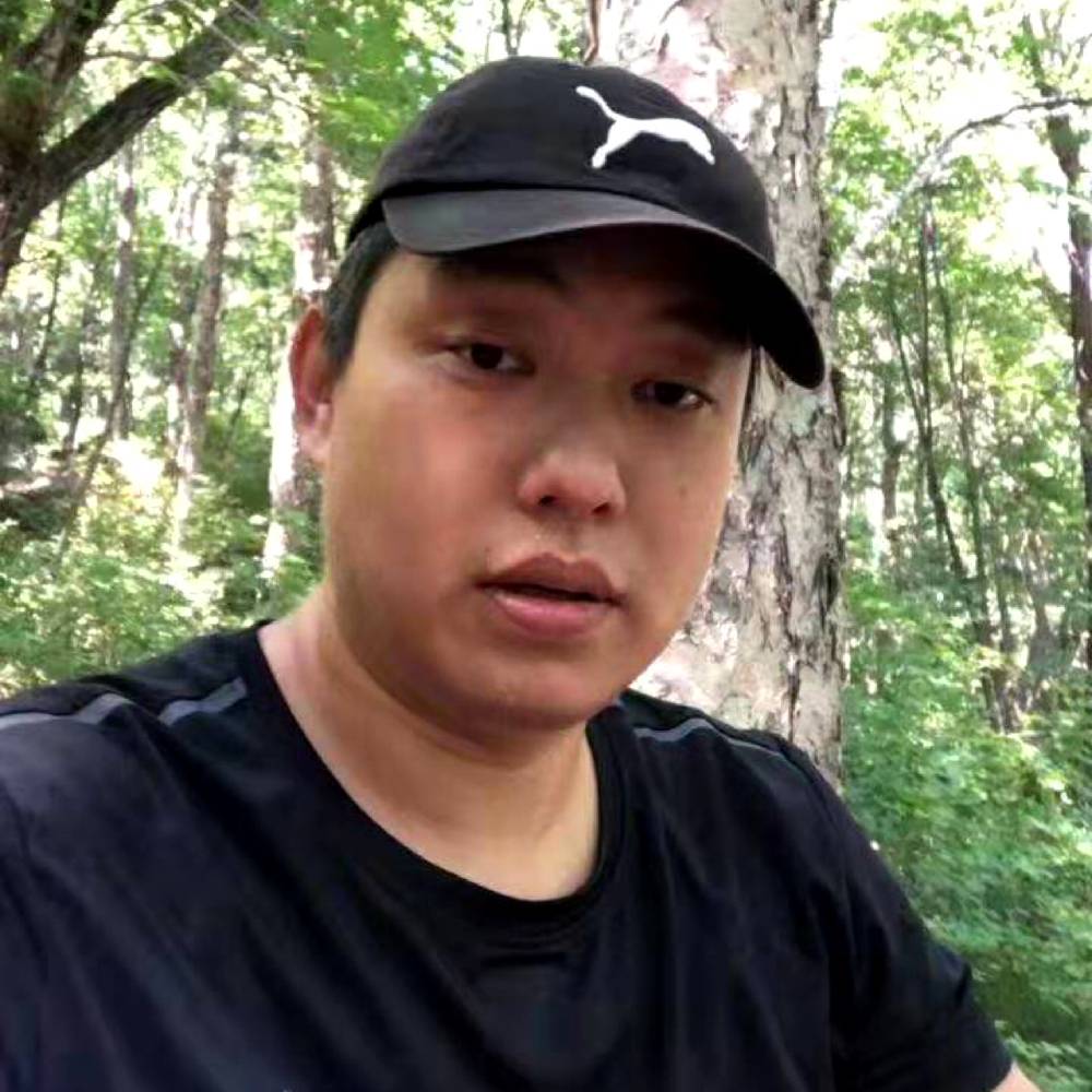 灰狼傻傻的照片