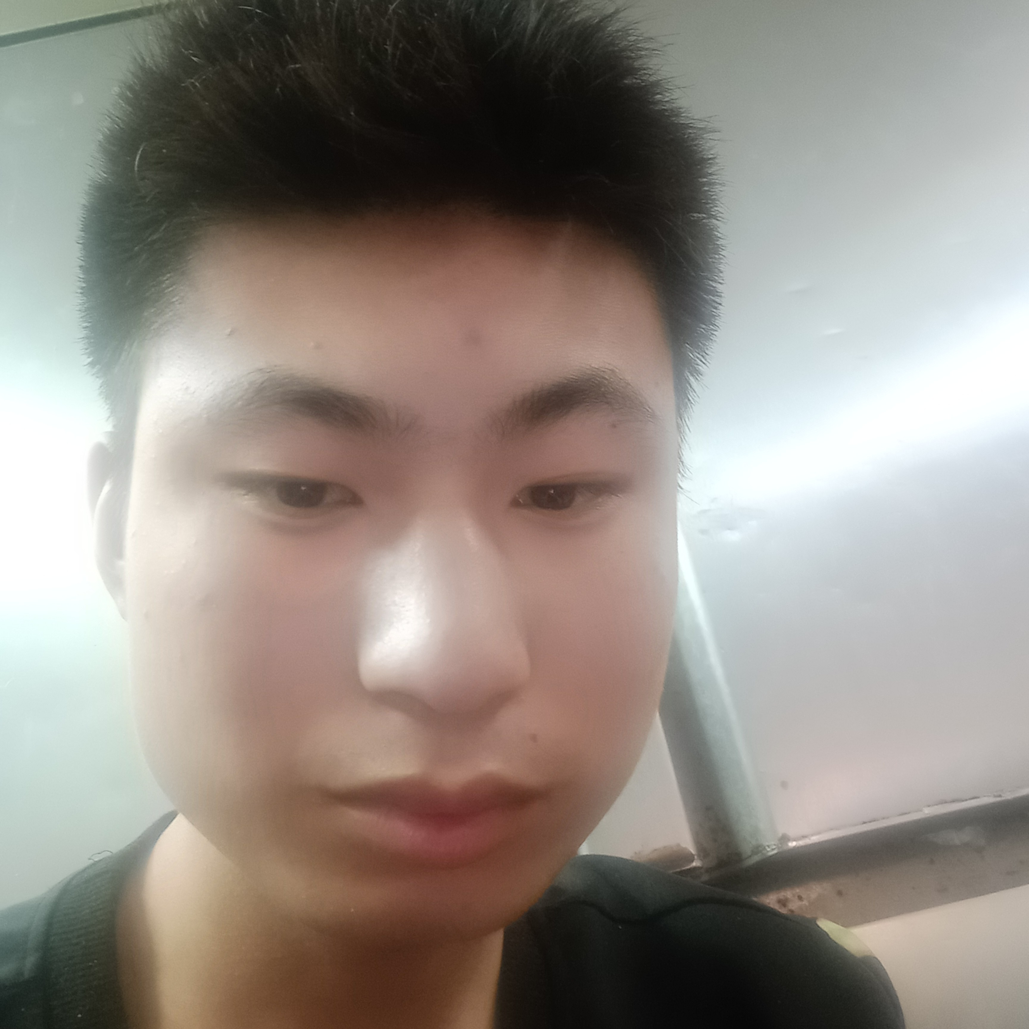 羊挽手拼搏的照片