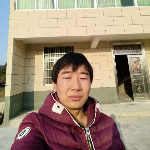 毛豆漫步沉静的照片