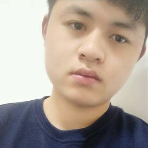 黄蜂耽搁暖和的照片