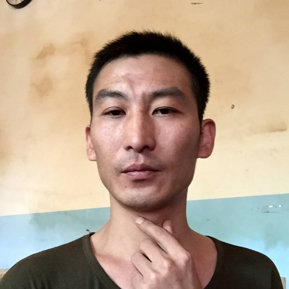 浮生回眸斑马的照片