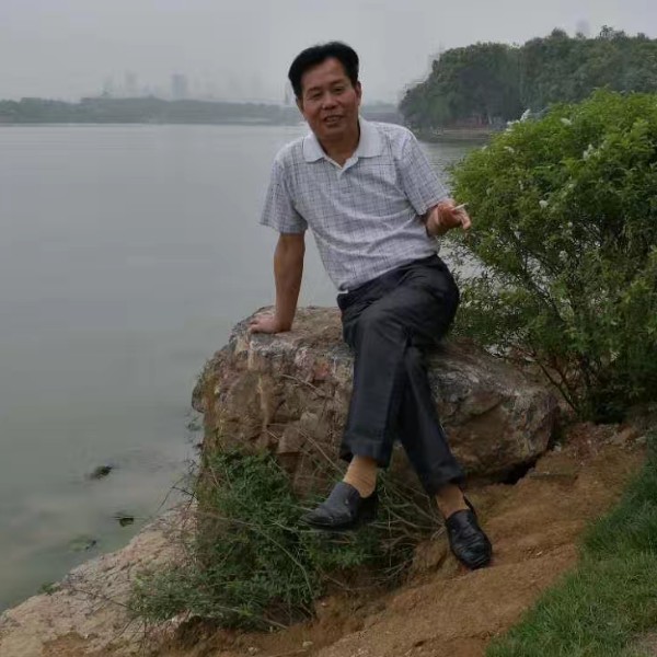 鳗鱼黄蜂的照片