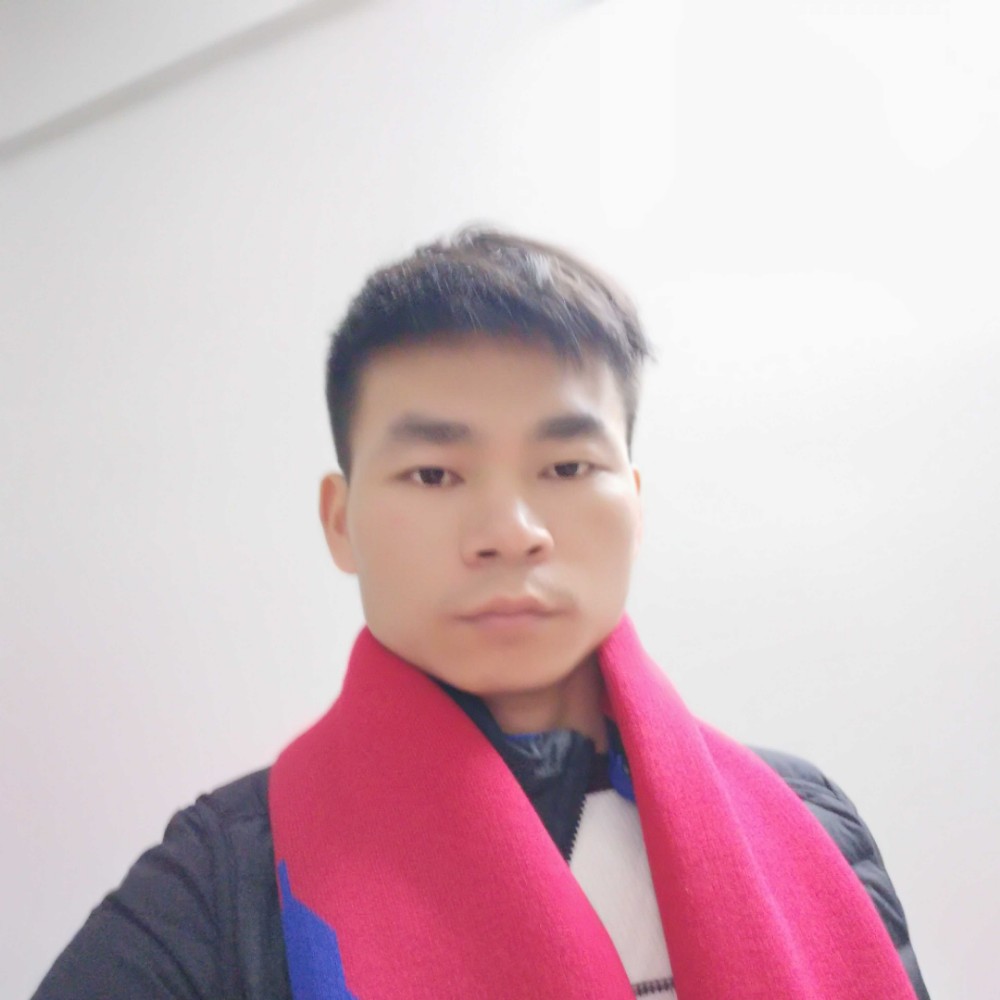 粗犷浅吻蜜蜂的照片