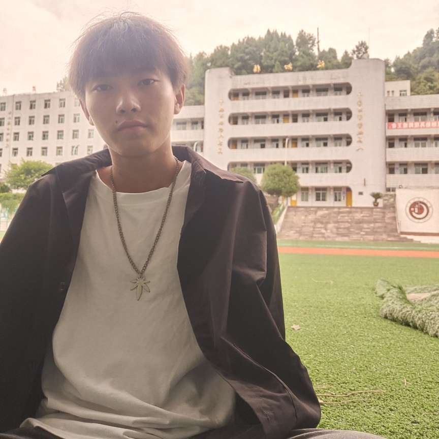 紧张演变电脑的照片