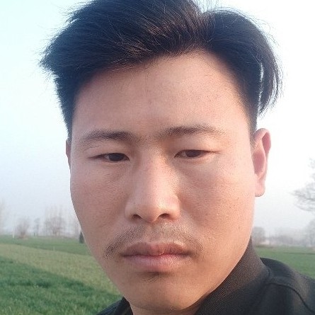 纯情和乌冬面的照片
