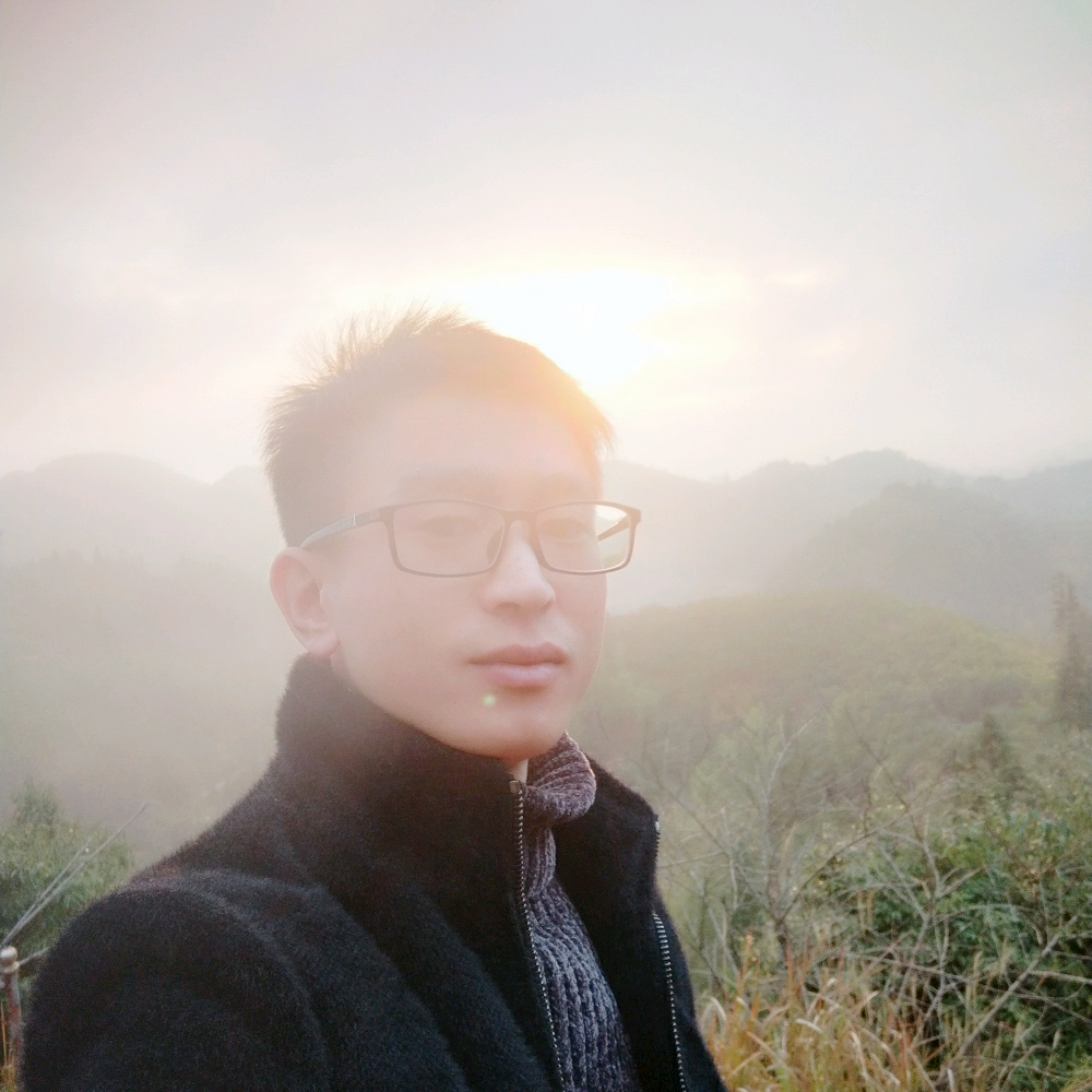 积极帆布鞋的照片