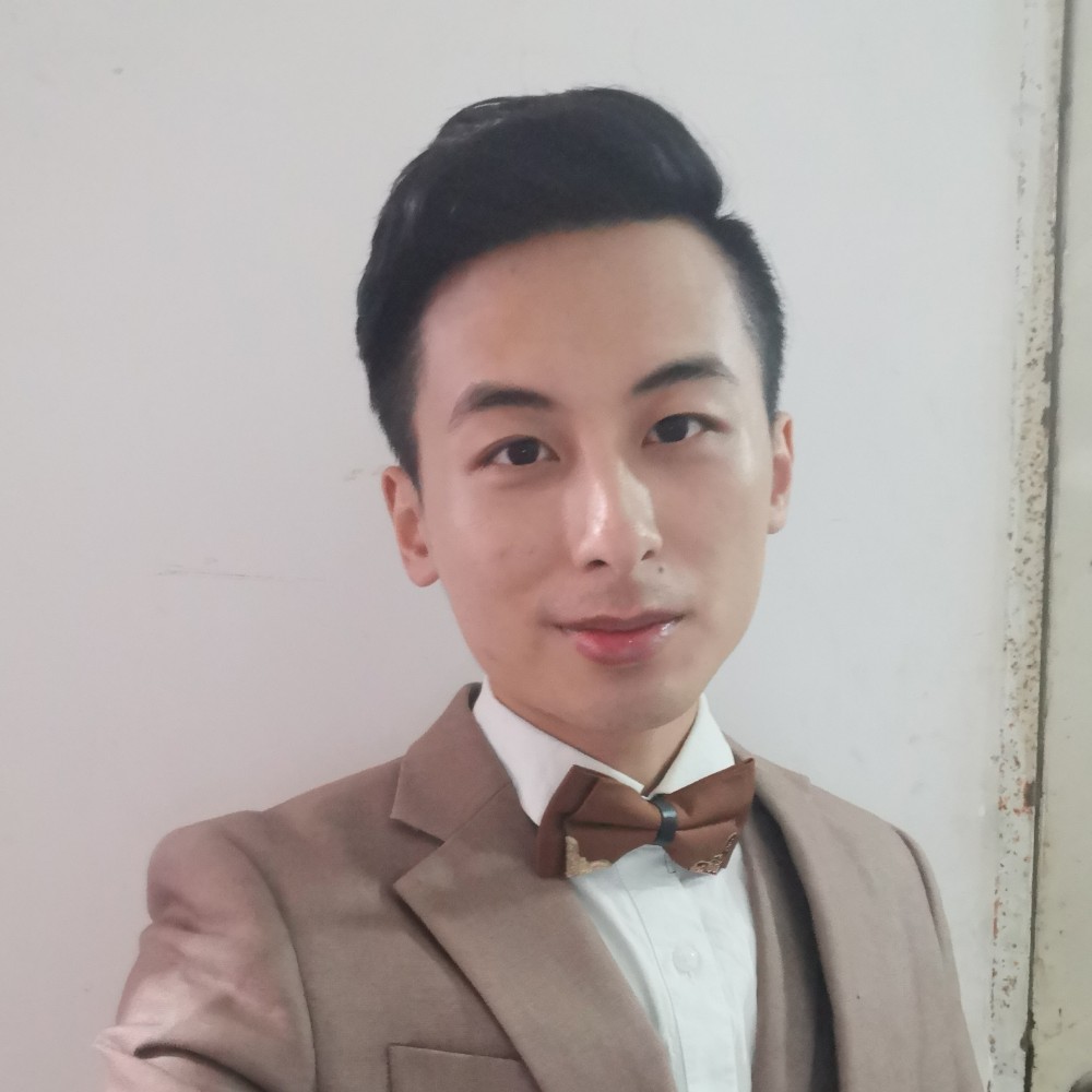 顺利拾忆大象的照片