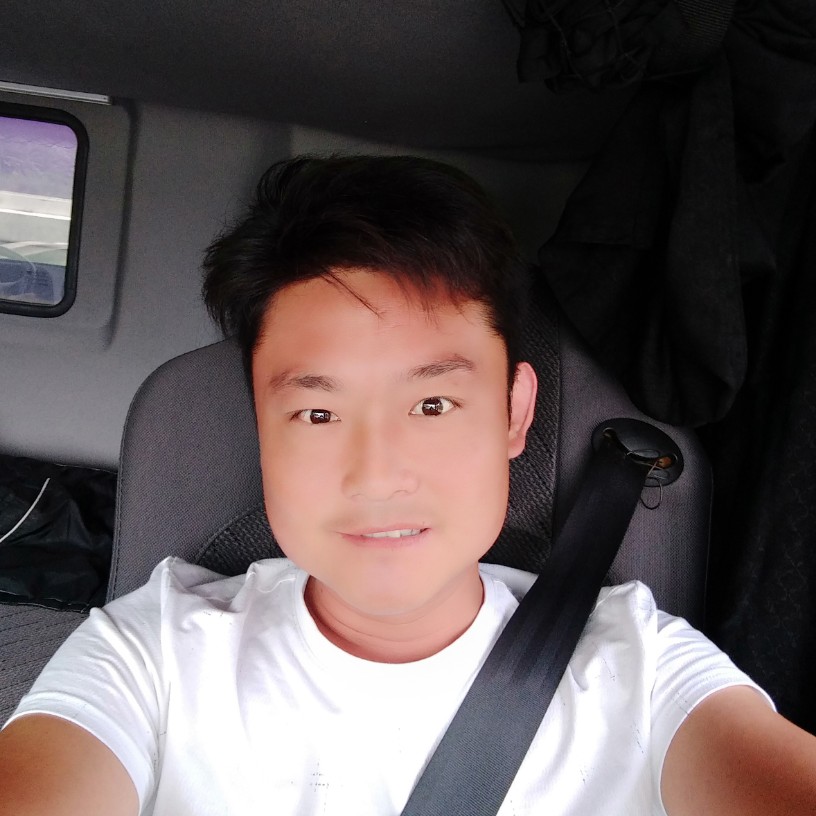 刺猬等于错落的照片