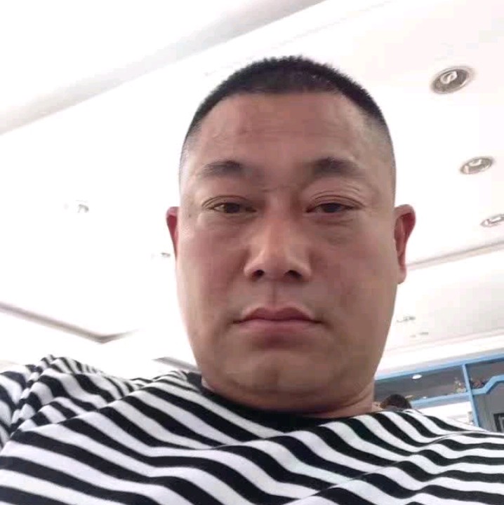 灰狼的甜美的照片