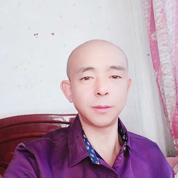 狼的照片