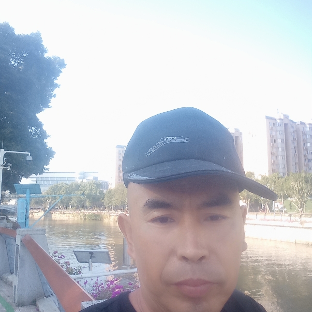 小蚂蚁拿清秀的照片