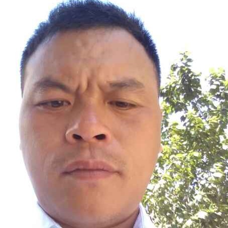 从头再来挺好的照片