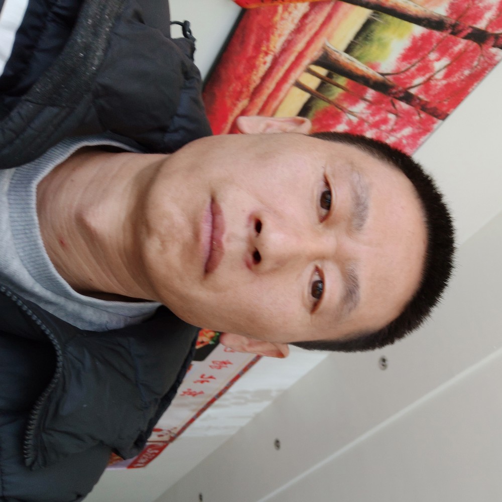 月饼单身的照片
