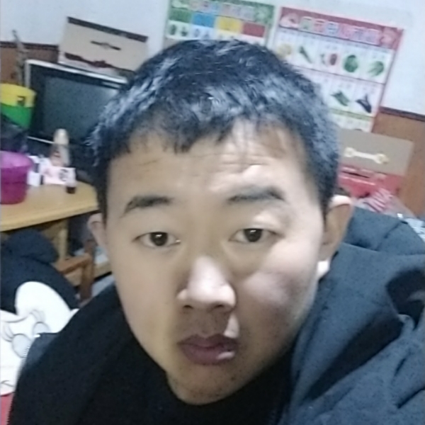 机智等于小松鼠的照片