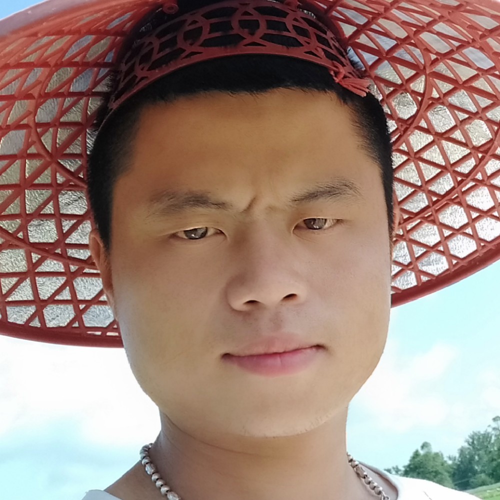 Zhang yi的照片