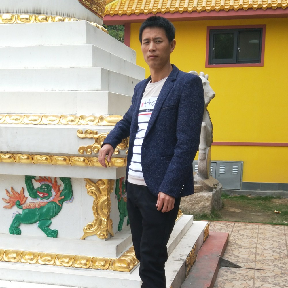 猎豹迎谨慎的照片