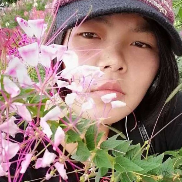 虔之鹤的照片