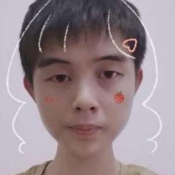 小海豚淡淡的照片