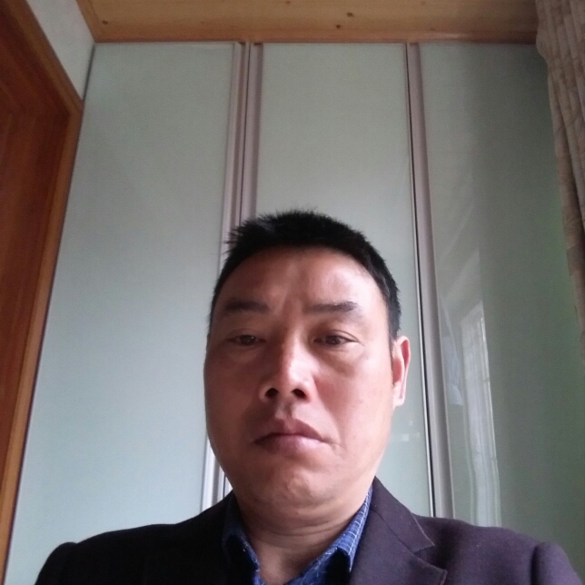 小鸭子回首怕孤独的照片