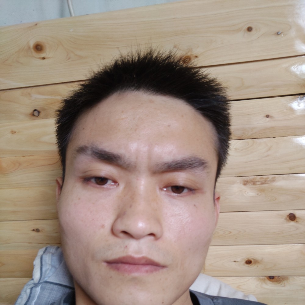 茉莉直率的照片