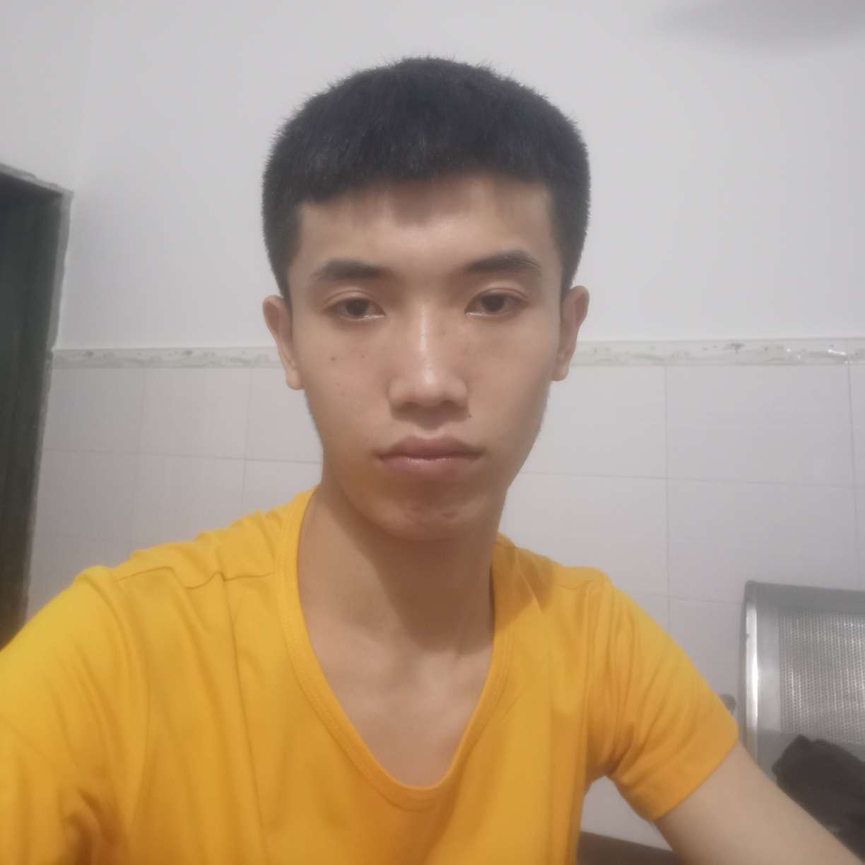 无心深拥树叶的照片