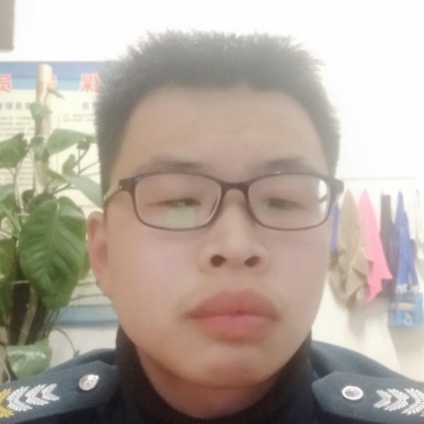 大气说乌龟的照片