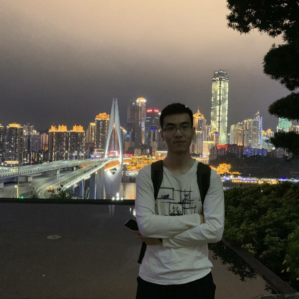 小兔守护者的照片