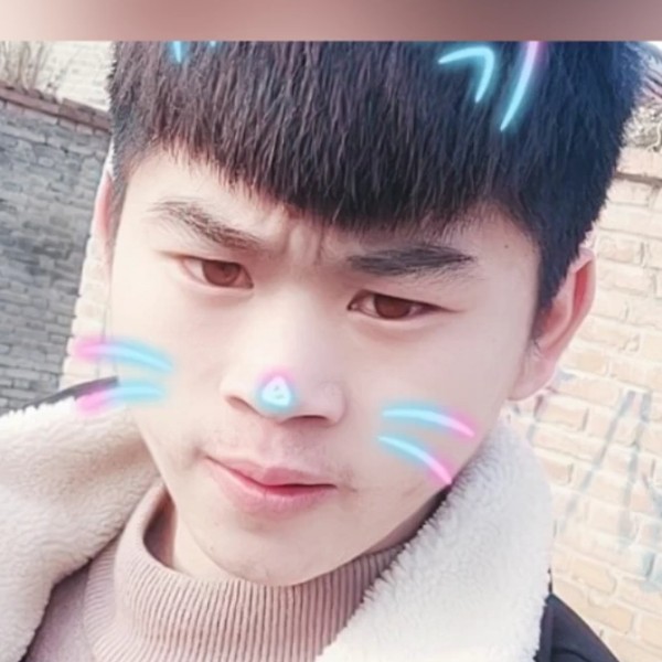 汉堡苦恋高贵的照片