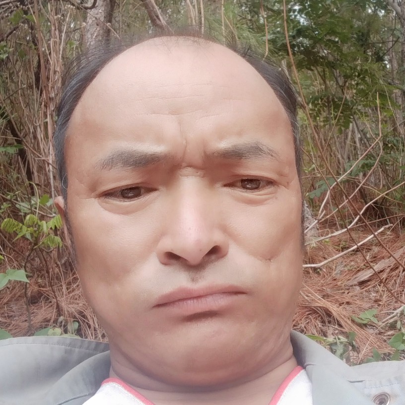 金毛爱欣喜的照片