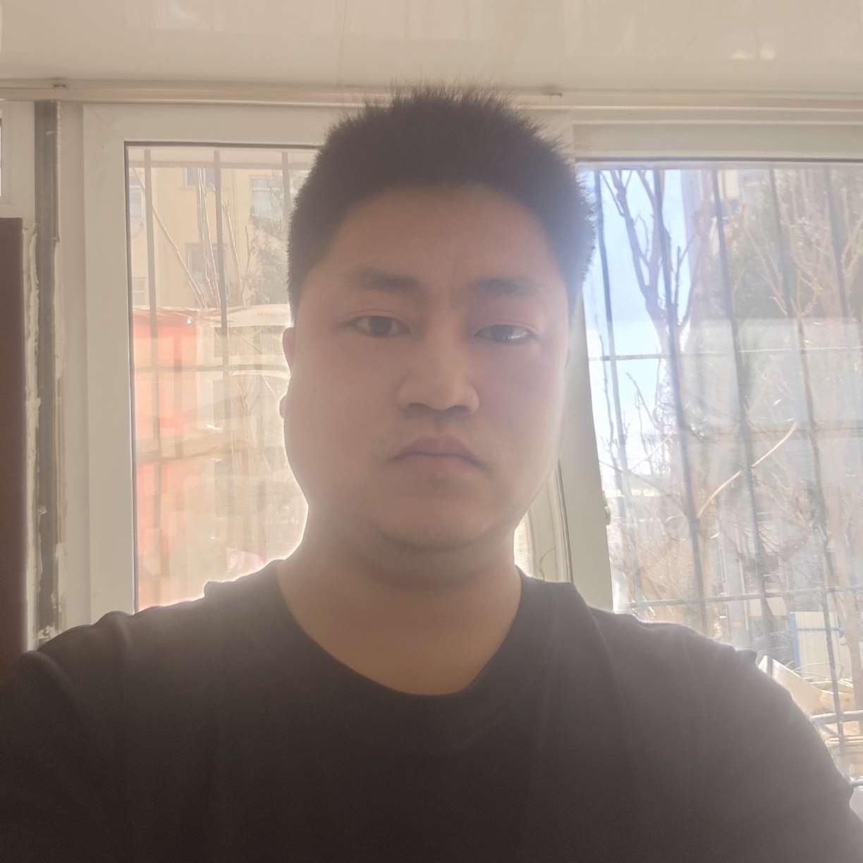 低泣de垂柳的照片