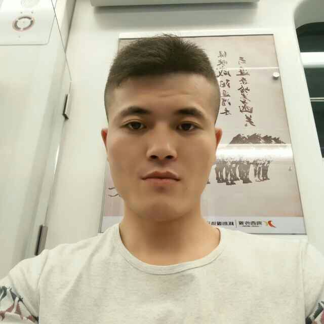 洁净請灰狼的照片