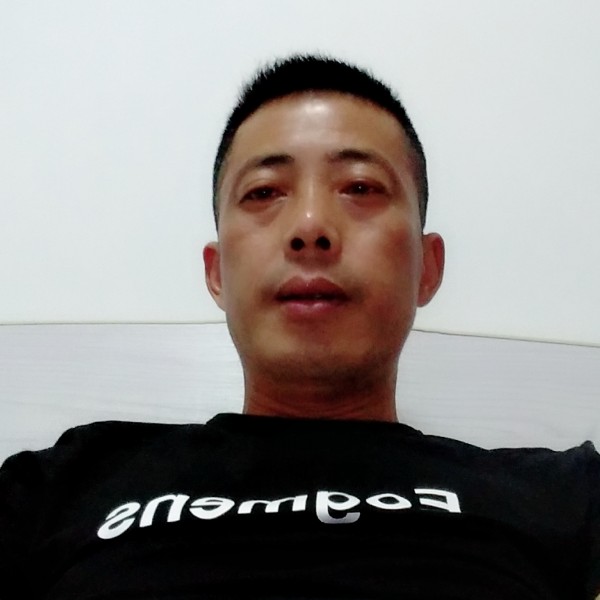 芹菜生动的照片