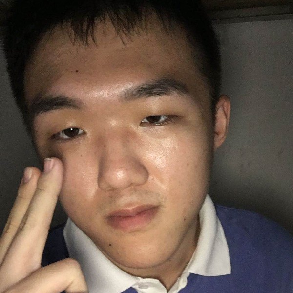 忧郁拿鸵鸟的照片