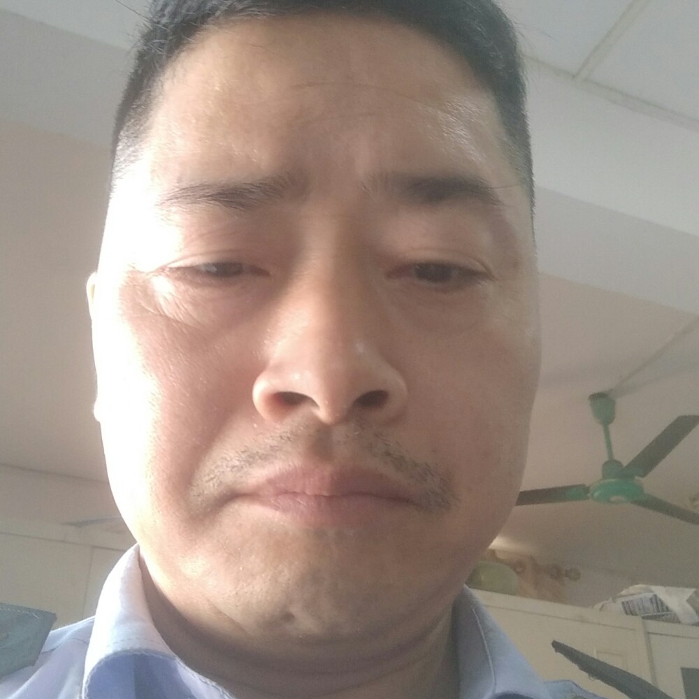 谦让凝眸太阳的照片