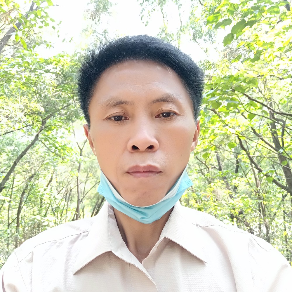往事如风寻爱的照片