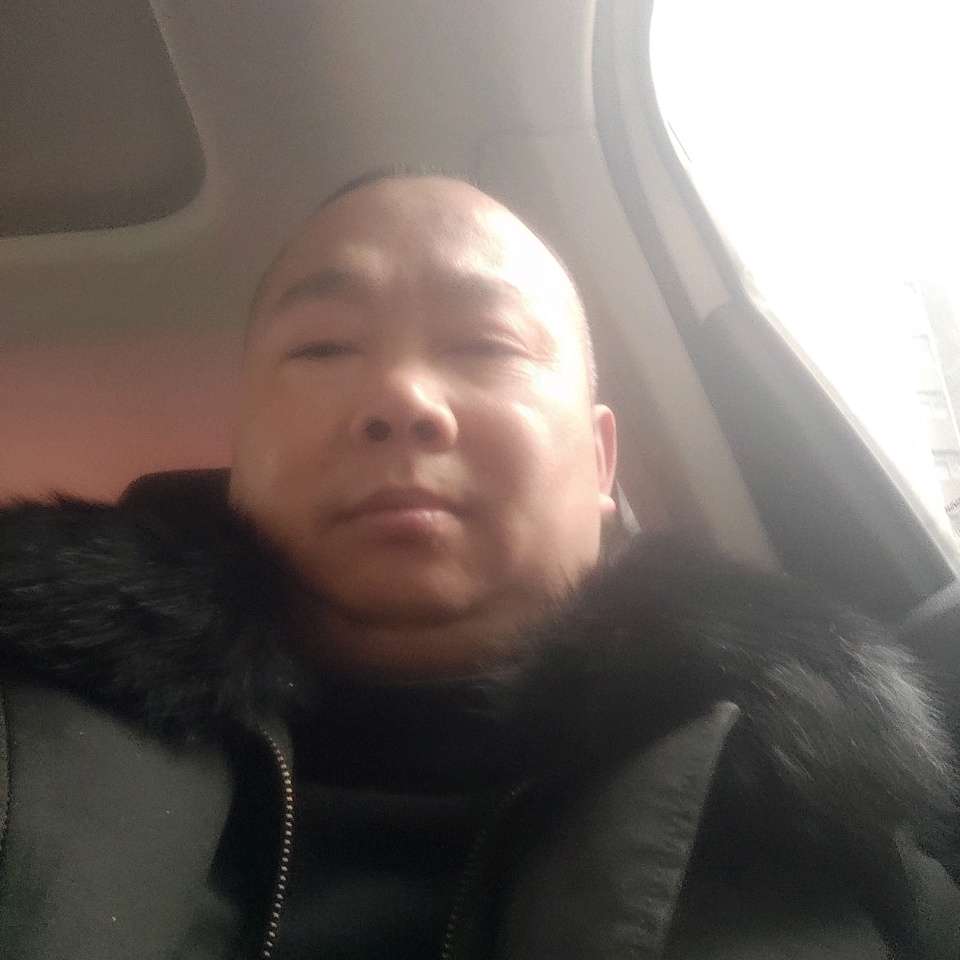 小天鹅用文艺的照片