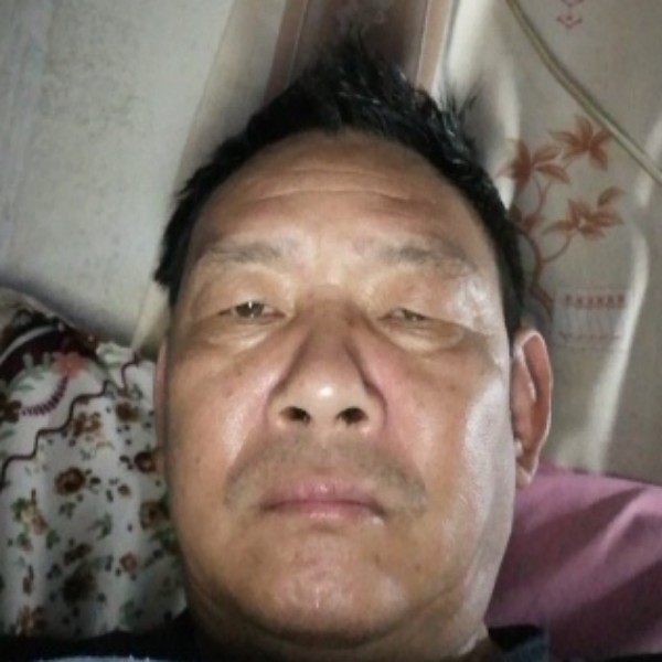 寂寞爱恋向日葵的照片