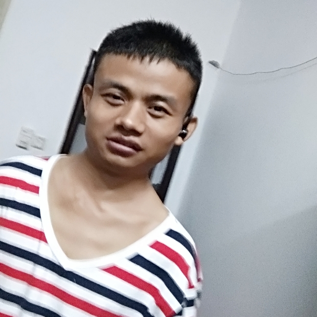 独特乌龟的照片