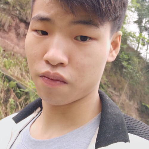 爱不回头的照片