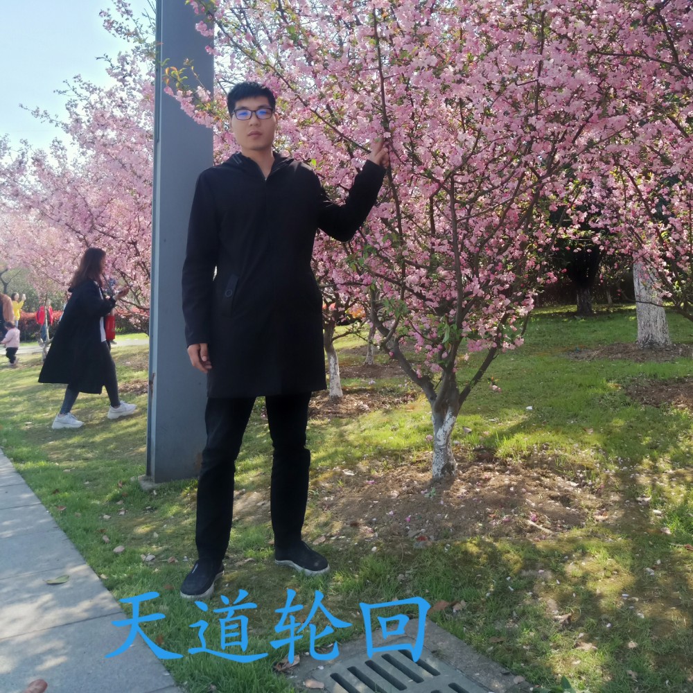 时光泪了等待的照片