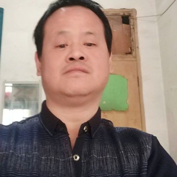 老实火车的照片