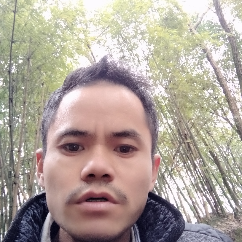 月饼美满的照片