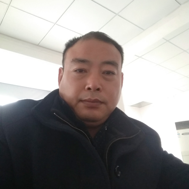 迅速寒风的照片