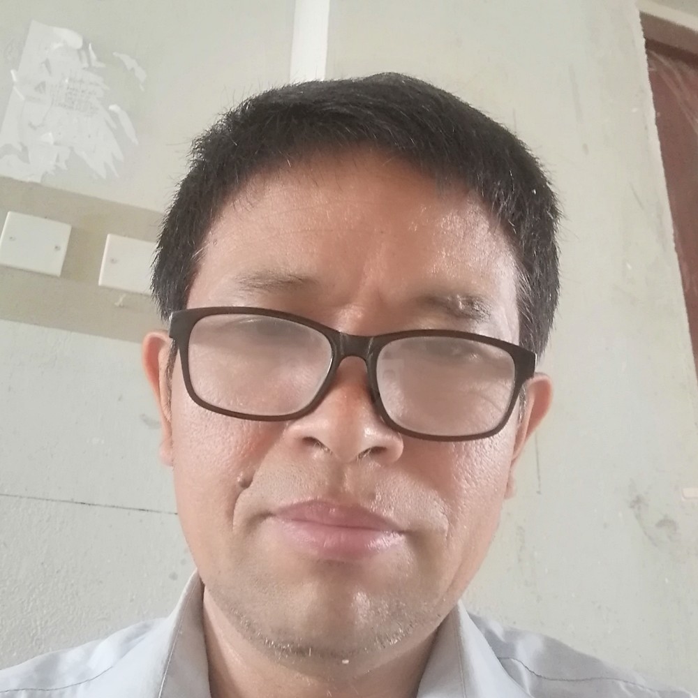 鸵鸟无情的照片